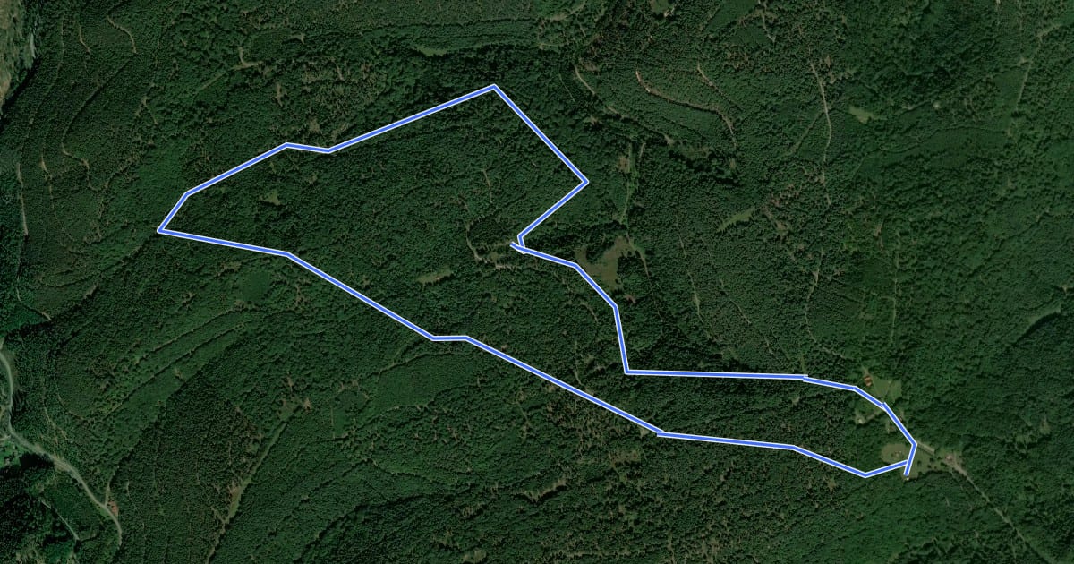 Маршрут Rundwanderweg Taubensuhl 2 на спутниковом снимке