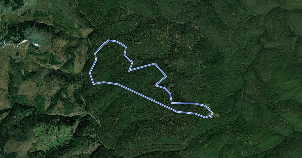 Маршрут Rundwanderweg Taubensuhl 3 на спутниковом снимке