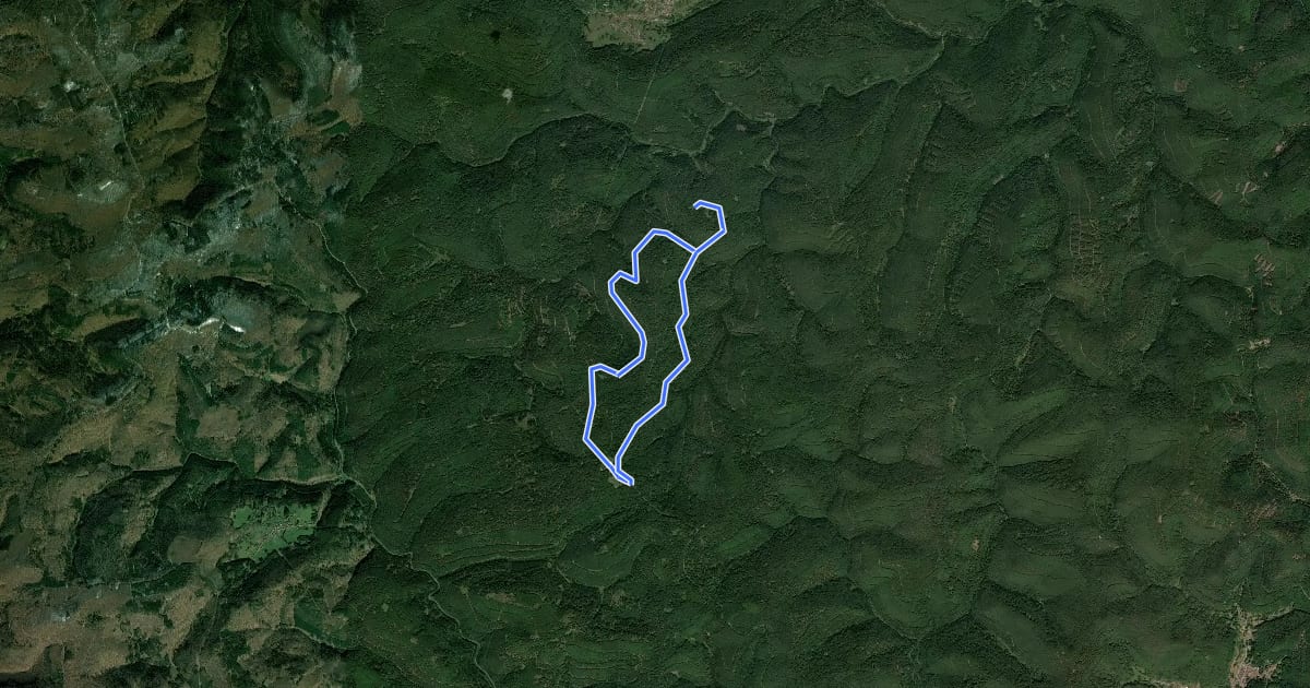 Маршрут Rundwanderweg Taubensuhl 6 на спутниковом снимке