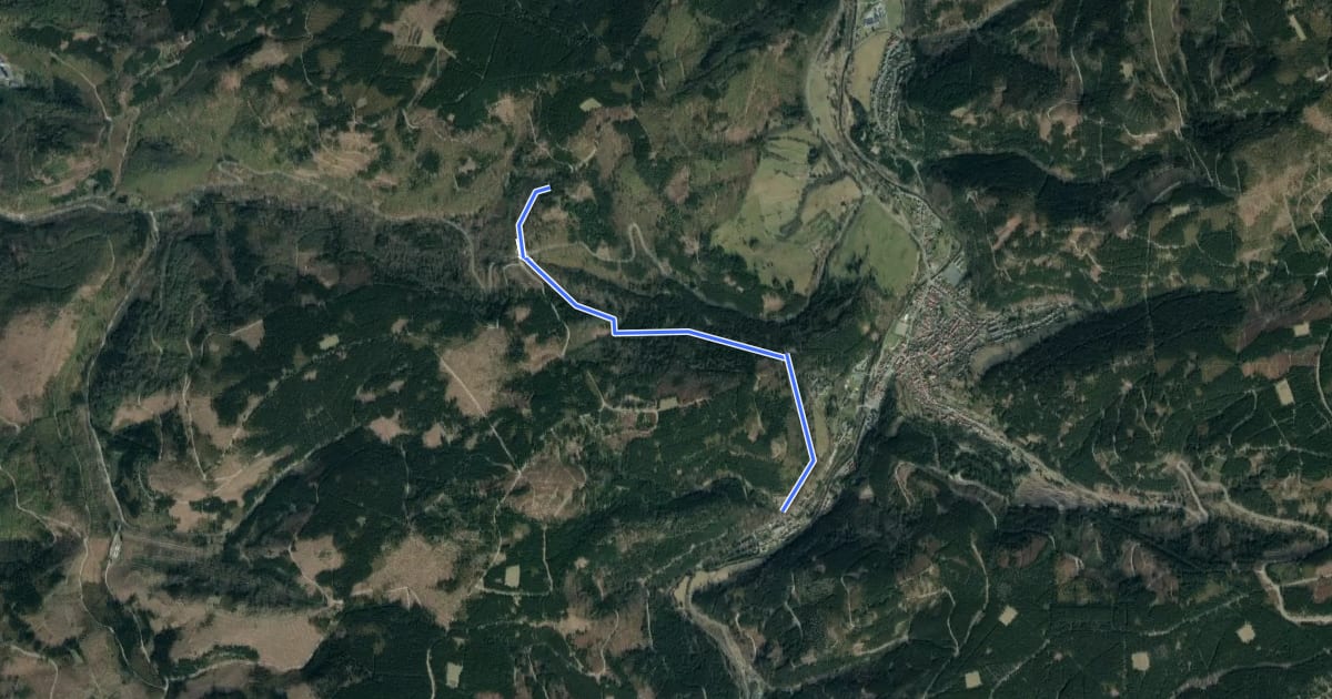 Маршрут Rundwanderweg um den Gr. Trogtaler Berg на спутниковом снимке