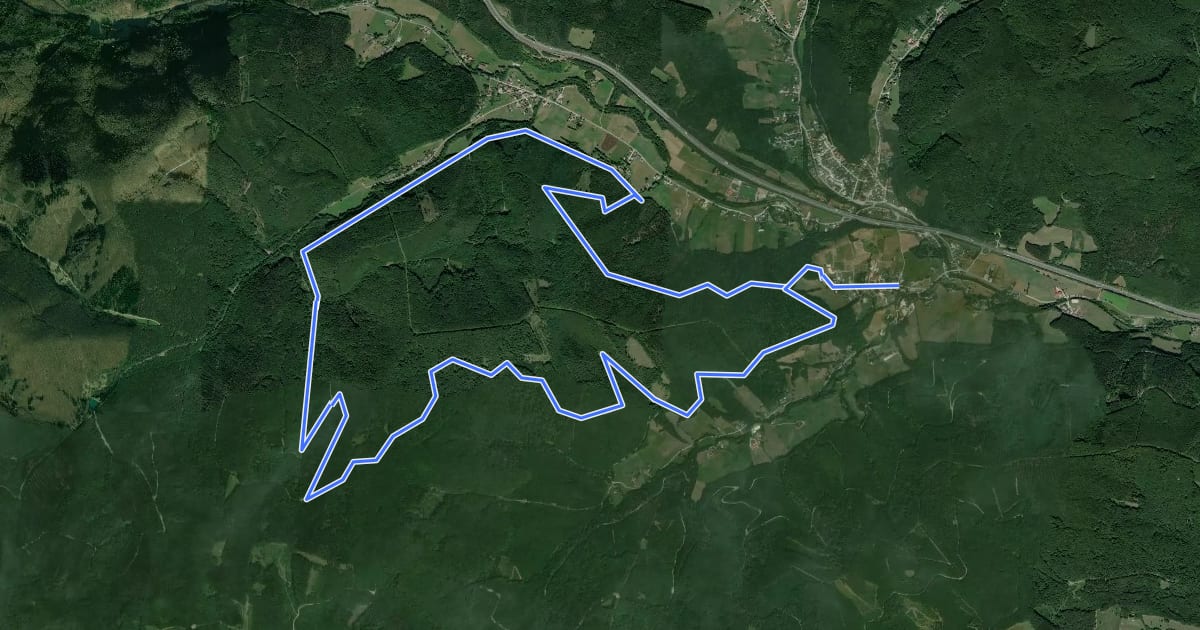 Маршрут Rundwanderweg um den Lammerauberg (bei Klausen-Leopoldsdorf) на спутниковом снимке