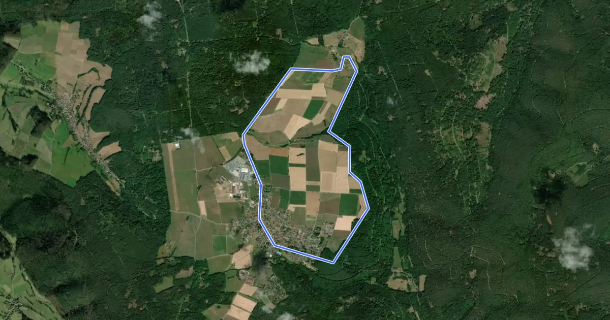 Маршрут Rundwanderweg Vielbrunn 1 : Bremhof-Weg на спутниковом снимке