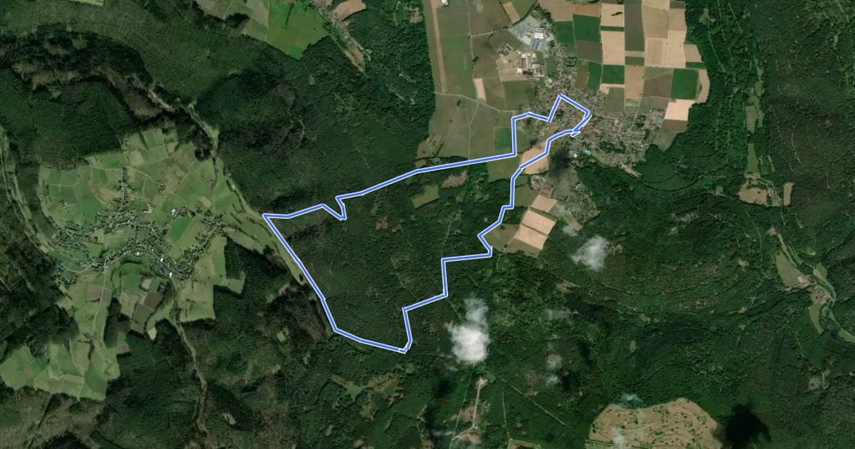Маршрут Rundwanderweg Vielbrunn 2 : Brunnenwanderweg на спутниковом снимке