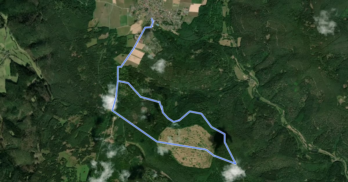 Маршрут Rundwanderweg Vielbrunn 5 : Sansenhof-Weg на спутниковом снимке