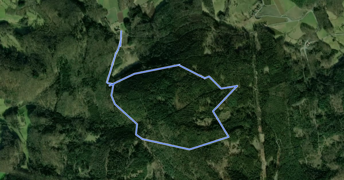 Маршрут Rundwanderweg Vierstöck 7: Morsberg-Weg на спутниковом снимке