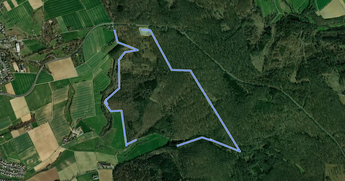 Маршрут Rundwanderweg Würges 3 Holzwiesen на спутниковом снимке