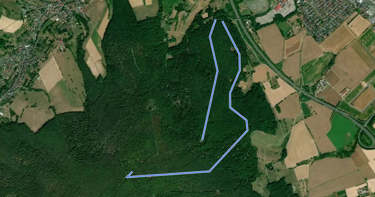 Маршрут Rundwanderweg Wörth Bocksberg 3: Habrichs-Weg на спутниковом снимке