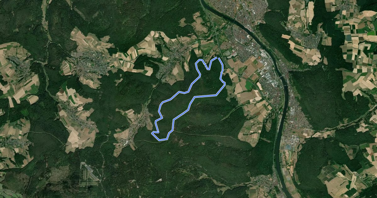 Маршрут Rundwanderweg Wörth Bocksberg 5: Grenz-Weg на спутниковом снимке