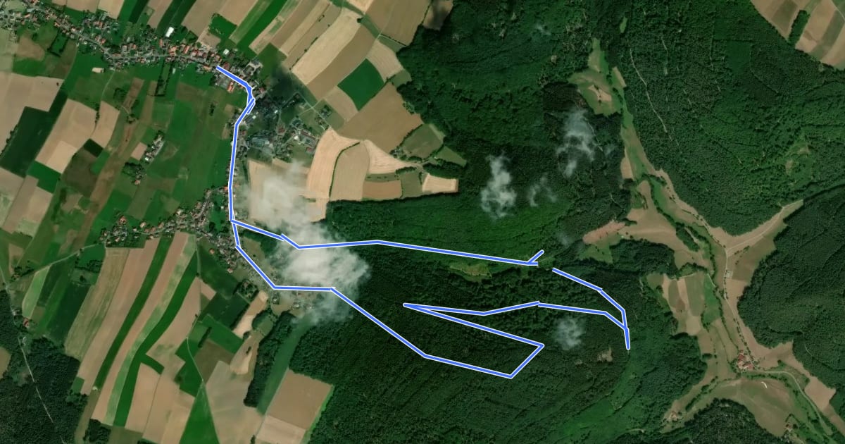 Маршрут Rundwanderweg Würzberg 1 на спутниковом снимке