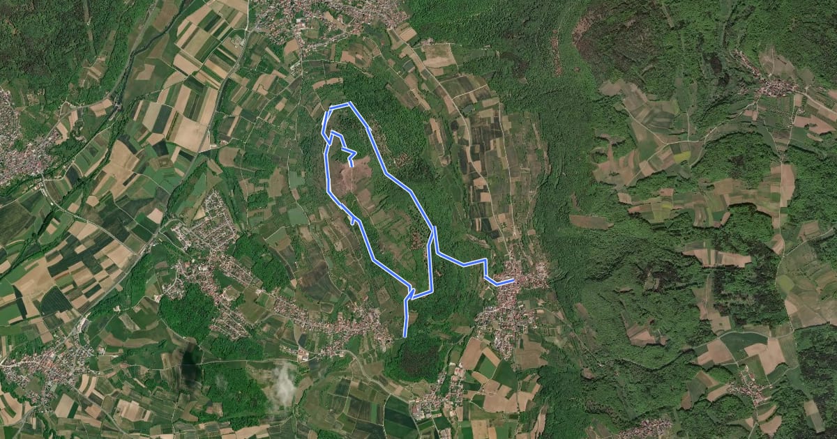 Маршрут Rundwanderweg Walberla на спутниковом снимке