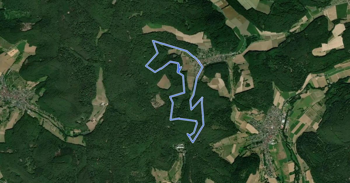 Маршрут Rundwanderweg Wald-Amorbach 1 : Goldloch-Weg на спутниковом снимке