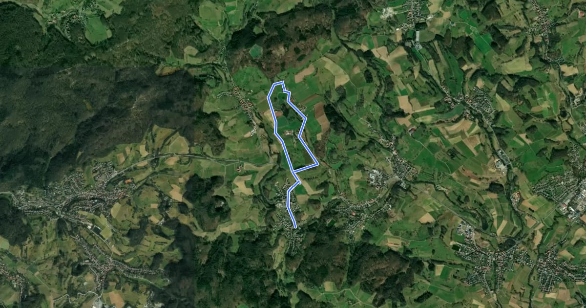 Маршрут Rundwanderweg Wald-Erlenbach 1: Igelsbach-Weg на спутниковом снимке