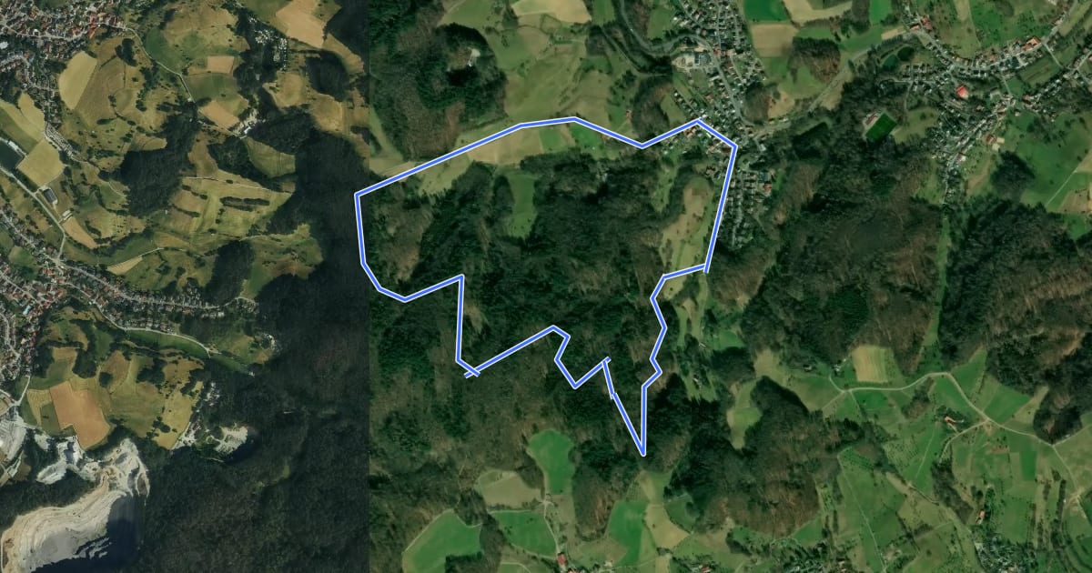 Маршрут Rundwanderweg Wald-Erlenbach 3 на спутниковом снимке