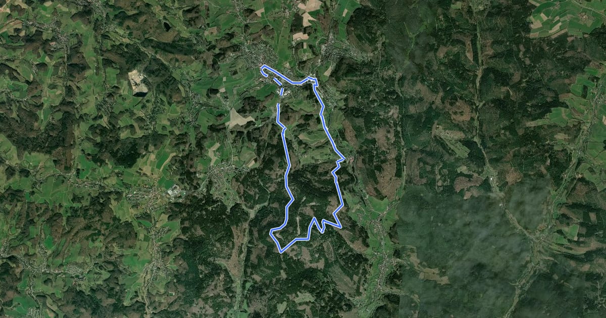 Маршрут Rundwanderweg Wald-Michelbach 2: Wald-Michelbacher-Buch-Weg на спутниковом снимке
