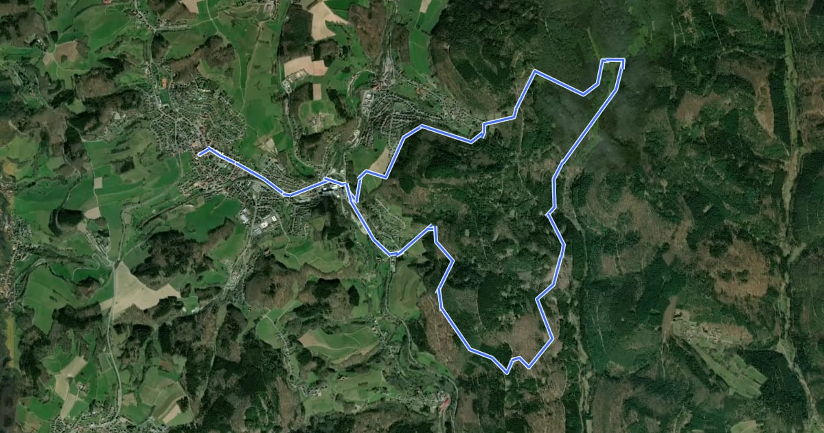 Маршрут Rundwanderweg Wald-Michelbach 8: Dürr-Ellenbach-Weg на спутниковом снимке
