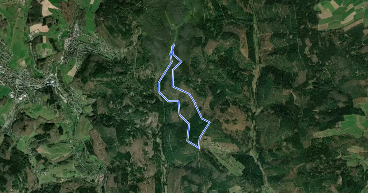Маршрут Rundwanderweg Wald-Michelbach Falters Ruhe 4: Dürr-Ellenbach-Weg на спутниковом снимке