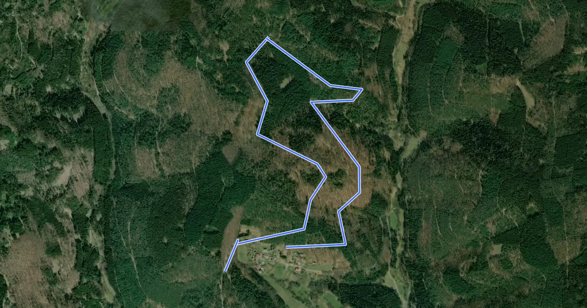 Маршрут Rundwanderweg Wald-Michelbach Falters Ruhe 5: Fichtelberg-Weg на спутниковом снимке