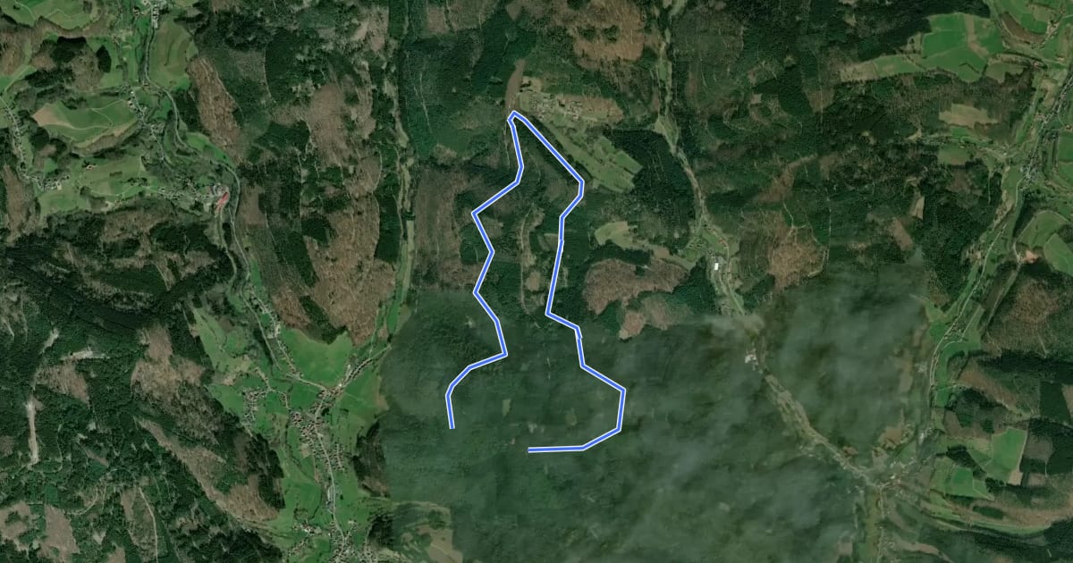 Маршрут Rundwanderweg Wald-Michelbach Falters Ruhe 6: Geiersberg-Weg на спутниковом снимке