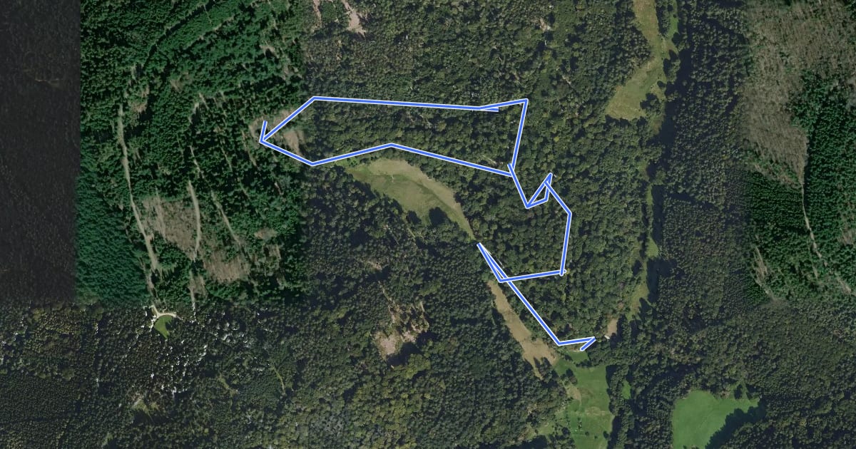 Маршрут Rundwanderweg Wald-Michelbach Lichtenklingen 1: Lichtenklinger-Hof-Weg на спутниковом снимке