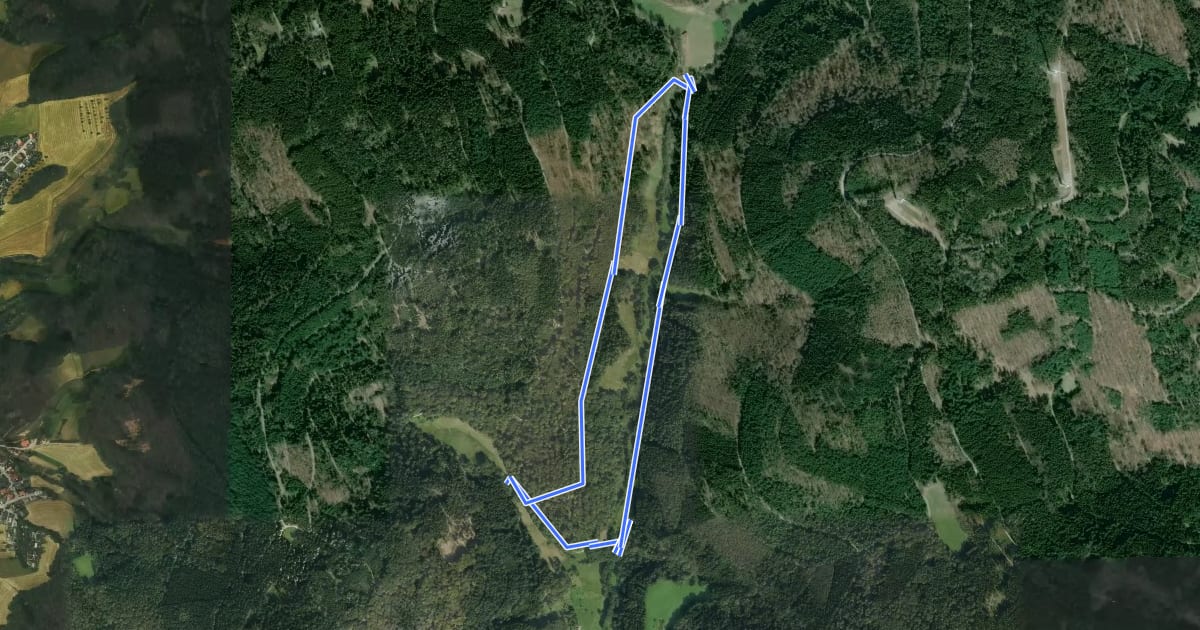 Маршрут Rundwanderweg Wald-Michelbach Lichtenklingen 2: Eiterbachtal-Weg на спутниковом снимке