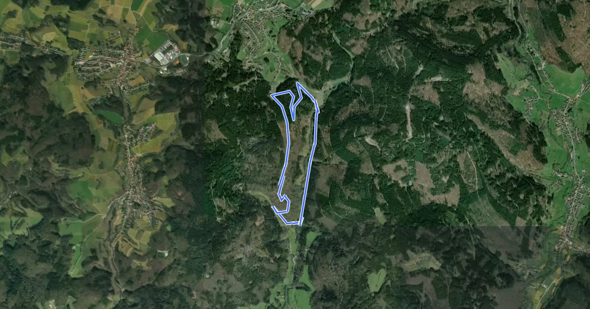 Маршрут Rundwanderweg Wald-Michelbach Lichtenklingen 3: Zentwaldrundweg на спутниковом снимке