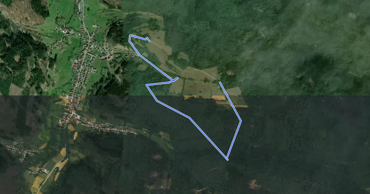 Маршрут Rundwanderweg Wald-Michelbach Wetschbach 1: Almenschlag-Weg на спутниковом снимке
