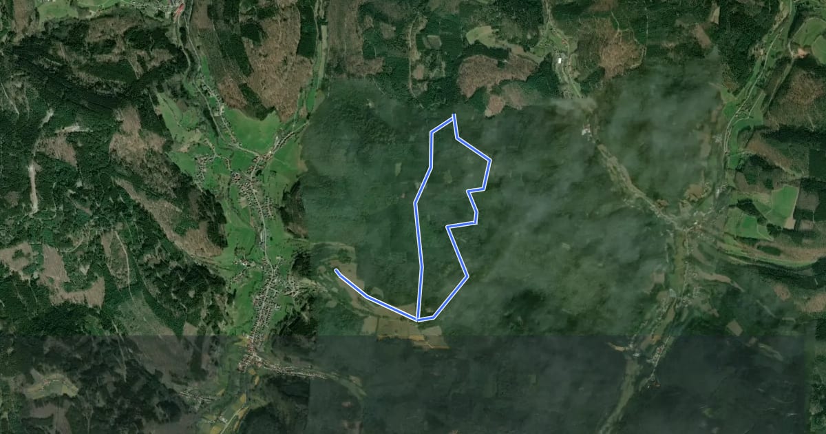 Маршрут Rundwanderweg Wald-Michelbach Wetschbach 2: Geiersberg-Weg на спутниковом снимке