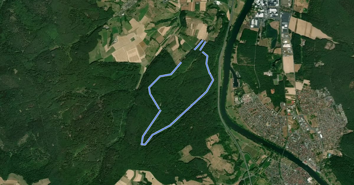Маршрут Rundwanderweg Waldhaus Obernburg 2: Torturm-Weg на спутниковом снимке