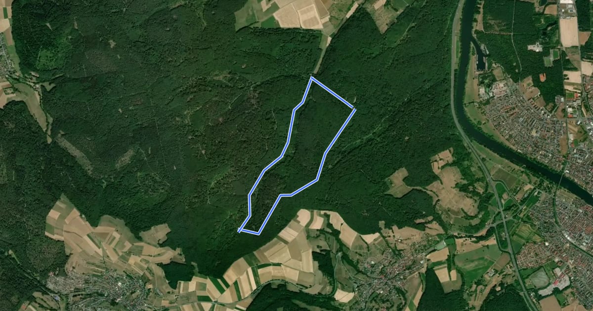 Маршрут Rundwanderweg Waldhaus Obernburg 4: Römerbrunnen-Weg на спутниковом снимке