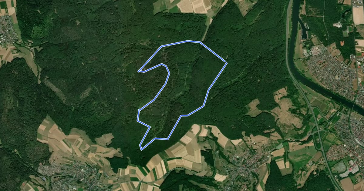 Маршрут Rundwanderweg Waldhaus Obernburg 5: Waldhaus-Weg на спутниковом снимке
