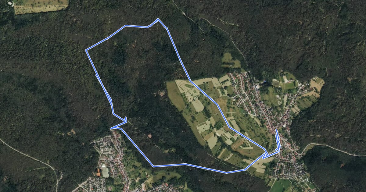 Маршрут Rundwanderweg Waldhilsbach 12 на спутниковом снимке