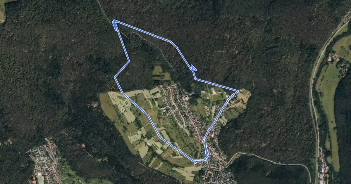 Маршрут Rundwanderweg Waldhilsbach 13 - Dreibuchenhang-Weg на спутниковом снимке
