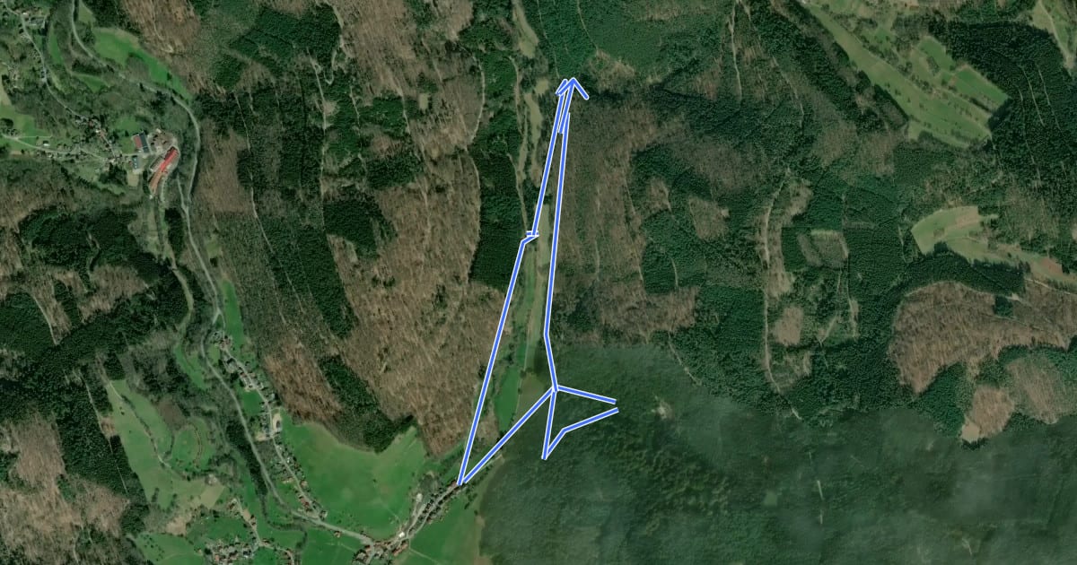 Маршрут Rundwanderweg Waldmichelbach Waldlehrpfad: Schönmattenwag на спутниковом снимке