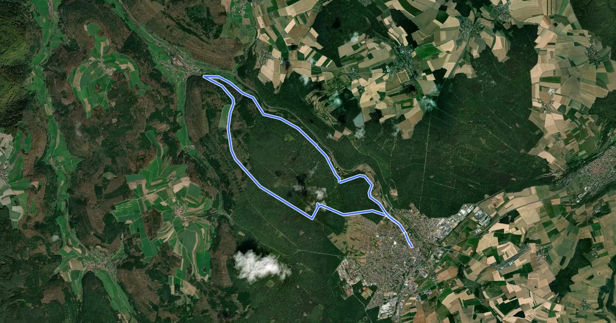 Маршрут Rundwanderweg Walldürn 1: Rippberg-Weg на спутниковом снимке