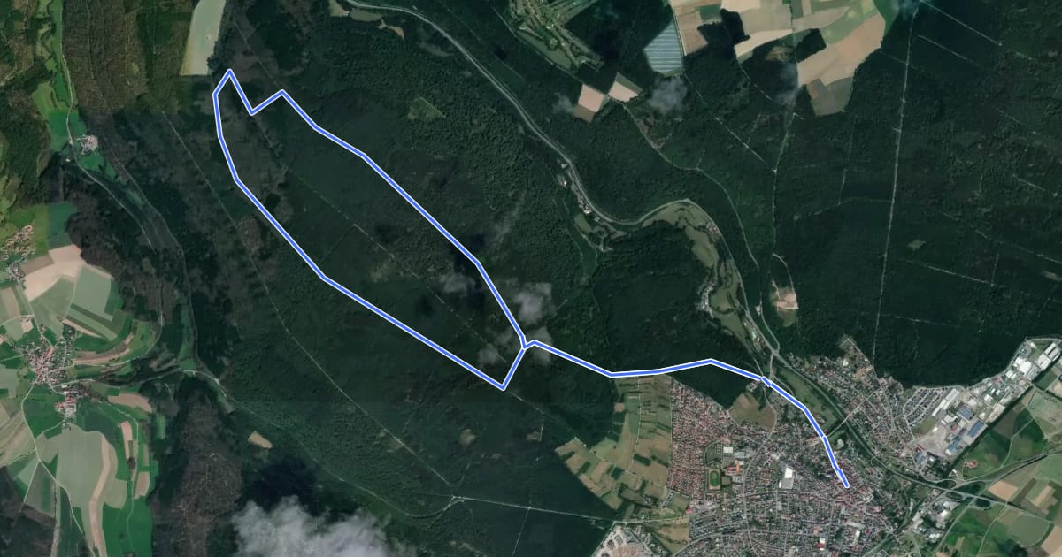 Маршрут Rundwanderweg Walldürn 2: Taufbrunnen-Weg на спутниковом снимке