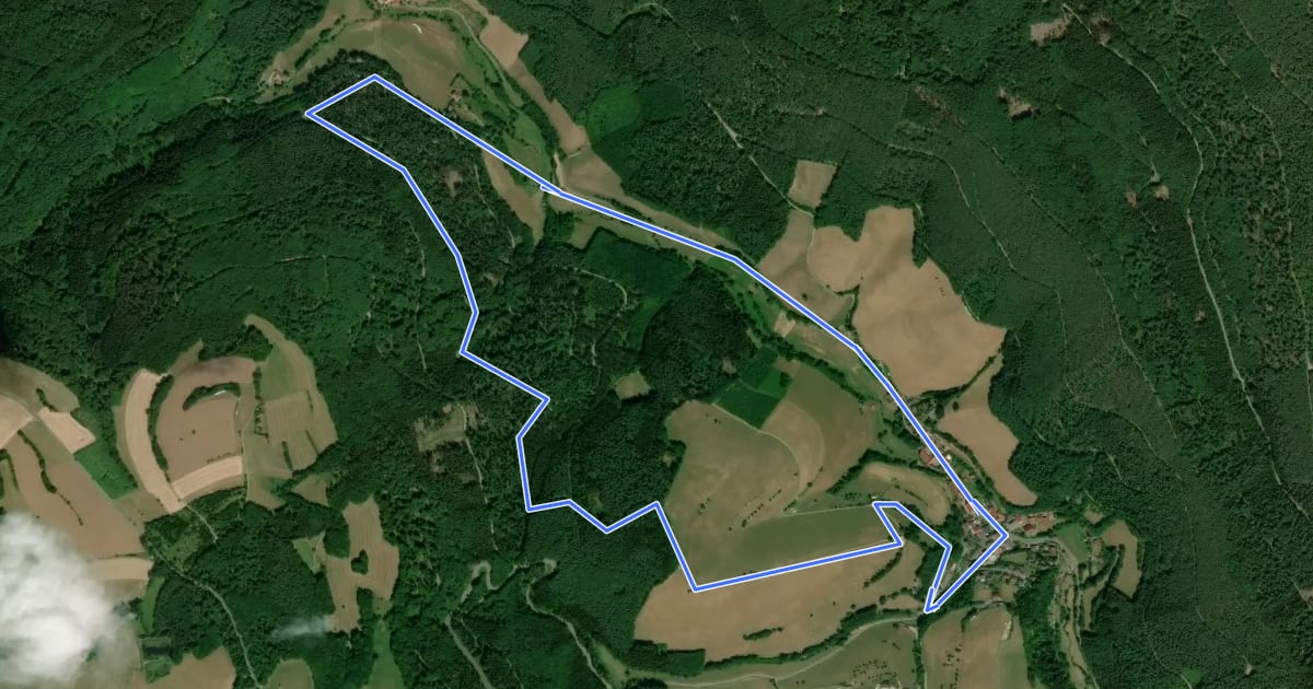Маршрут Rundwanderweg Watterbach 2 на спутниковом снимке