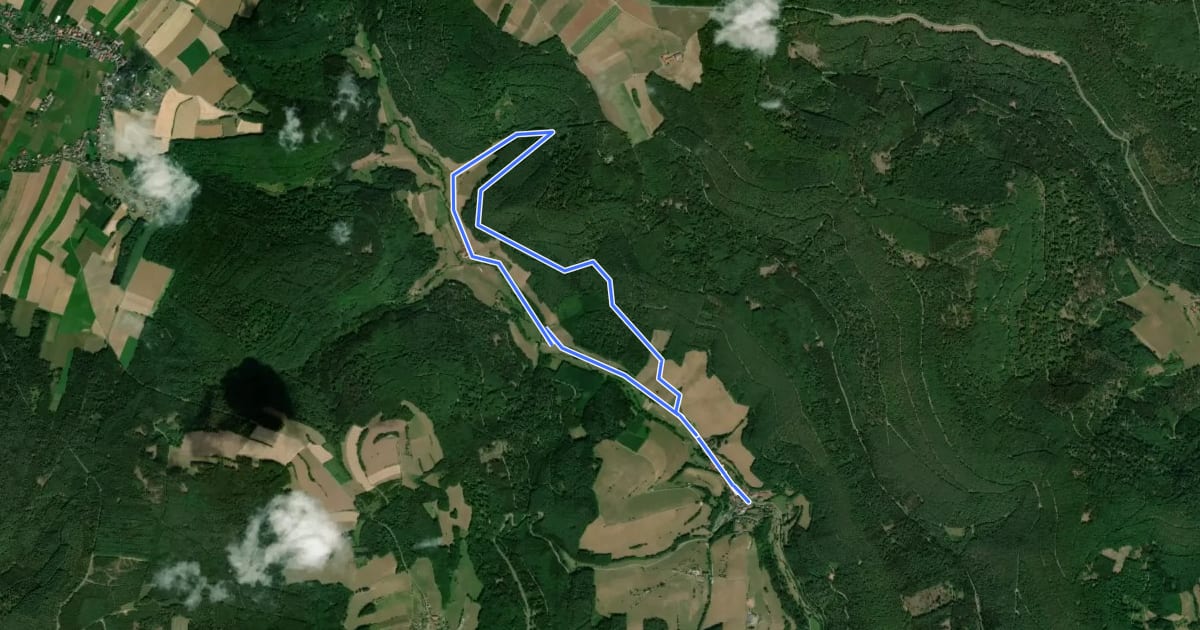 Маршрут Rundwanderweg Watterbach 3 на спутниковом снимке