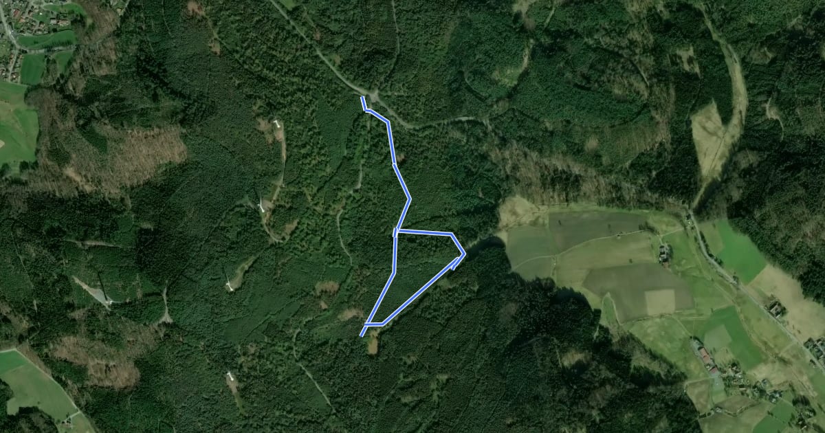 Маршрут Rundwanderweg Wegscheide I 4: Hirschwiesen-Weg на спутниковом снимке