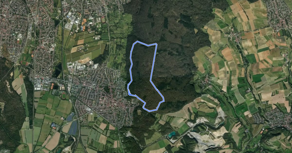 Маршрут Rundwanderweg Weiße Hohl 3: Hirschberg-Weg на спутниковом снимке