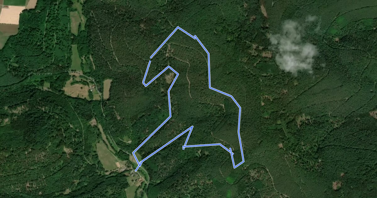 Маршрут Rundwanderweg Weilbach Ohrnbach 3 : Geis-Berg-Weg на спутниковом снимке