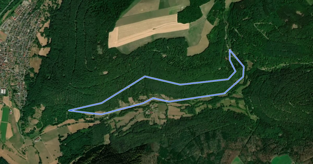 Маршрут Rundwanderweg Weilbach Reuental 1: на спутниковом снимке