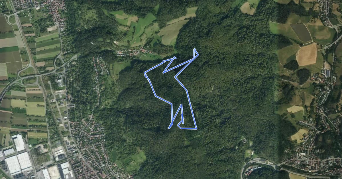 Маршрут Rundwanderweg Weinheim Hirschkopf 1: Hirschkopf-Weg на спутниковом снимке