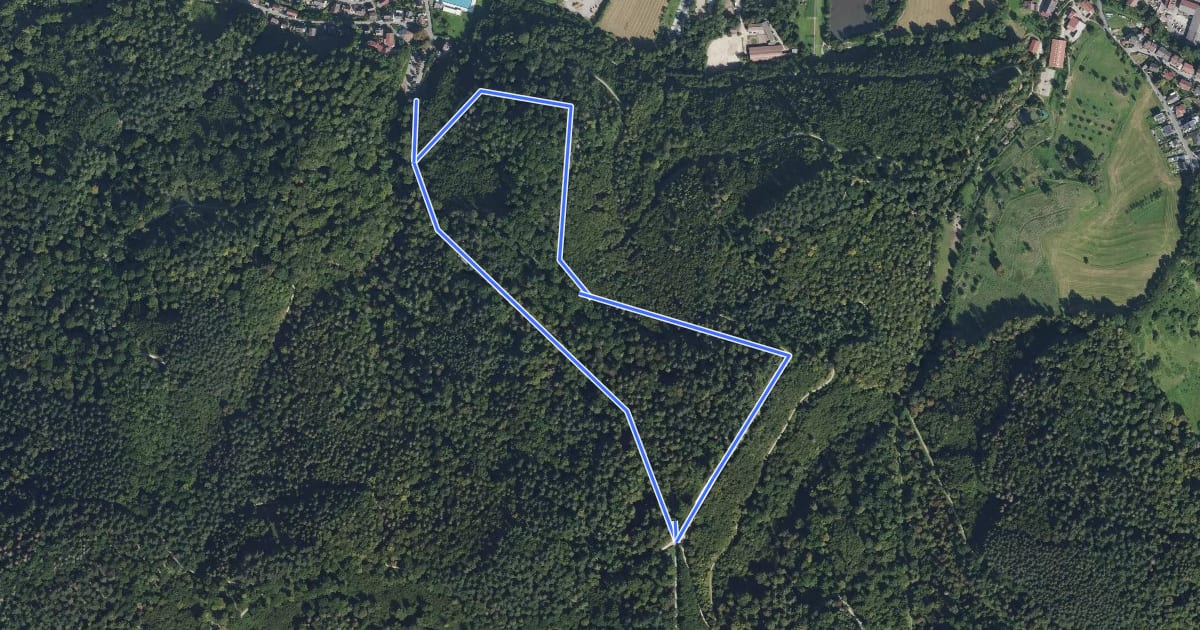 Маршрут Rundwanderweg Weinheim Raubschloss 1: Raubschloss-Weg на спутниковом снимке