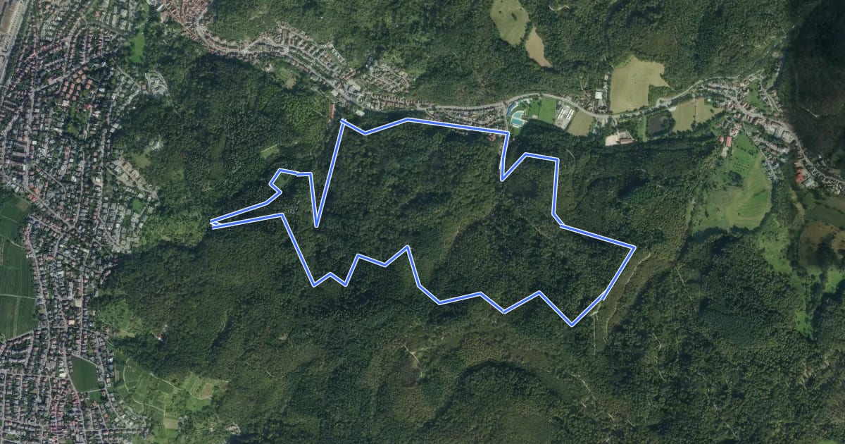 Маршрут Rundwanderweg Weinheim Raubschloss 3: Exotenwald-Weg на спутниковом снимке