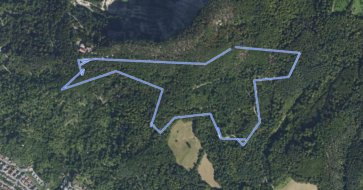 Маршрут Rundwanderweg Weinheim Wachenburg 3: Taubenberg-Weg на спутниковом снимке