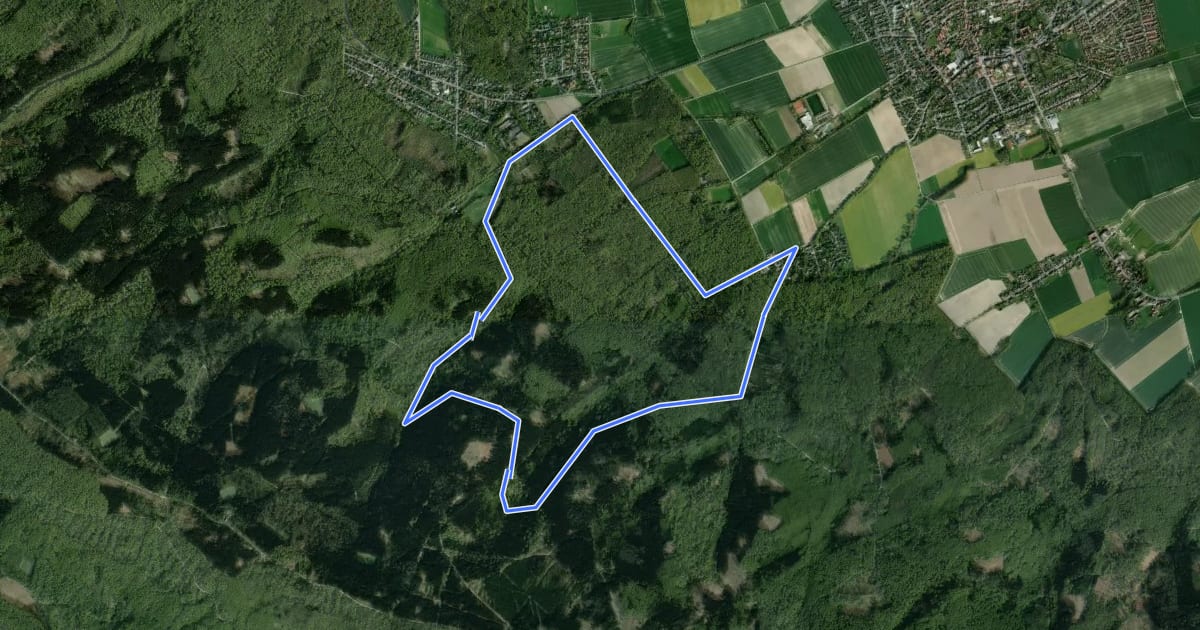 Маршрут Rundwanderweg Wennigsen 2 на спутниковом снимке