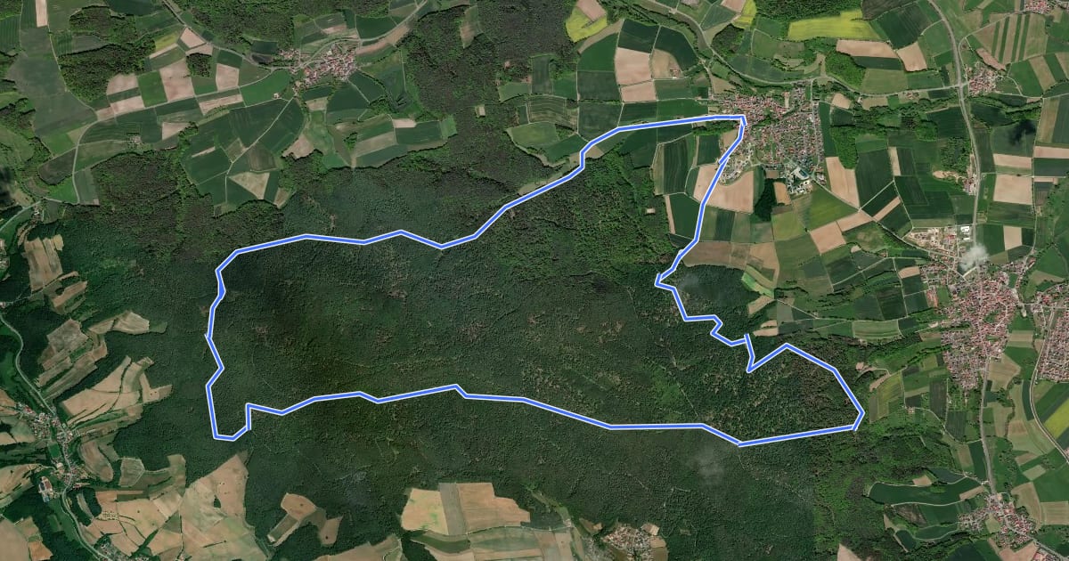 Маршрут Rundwanderweg Wildschwein Gerach на спутниковом снимке