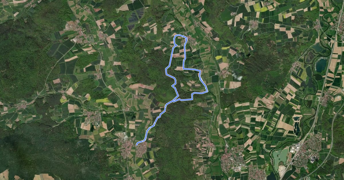 Маршрут Rundwanderweg Wildschwein Reckendorf на спутниковом снимке