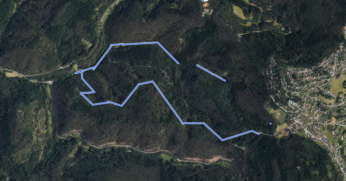 Маршрут Rundwanderweg Wilhelmsfeld 12: Leichtersberg-Weg на спутниковом снимке