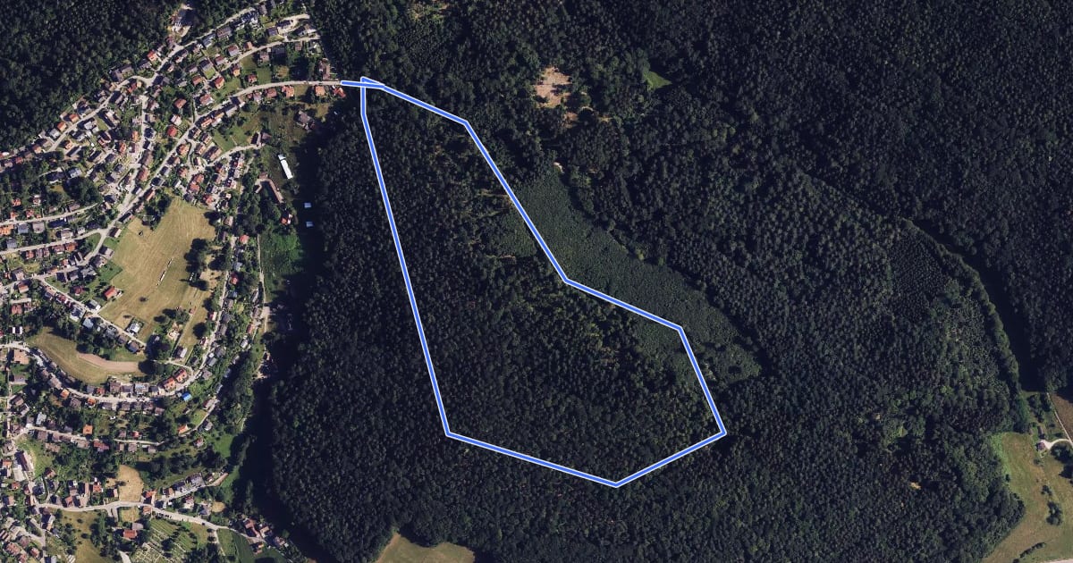 Маршрут Rundwanderweg Wilhelmsfeld 3: Oberer Centwald-Weg на спутниковом снимке